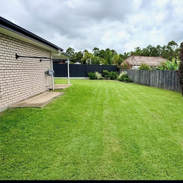 A striped, freshly mown backyard lawn bordered by fencing